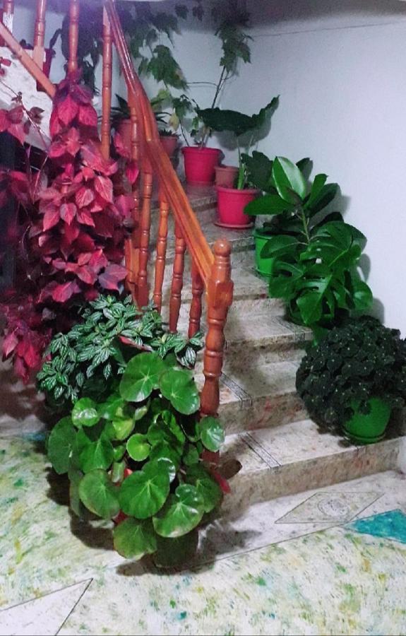 Sokolli Guest House Gjirokastra Kültér fotó